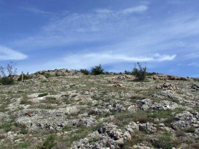 Прикрепленное изображение: DSCF8438.jpg